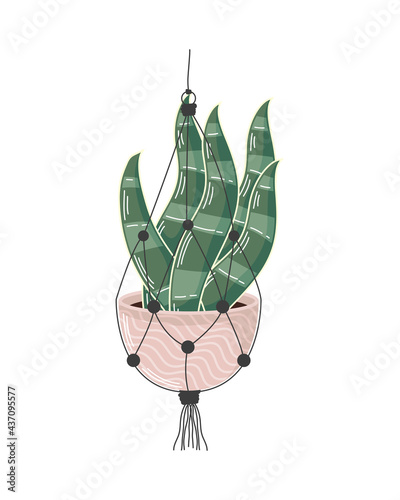 pink macrame hanger