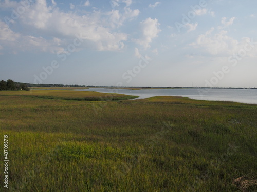 Riverside landscape wetlands