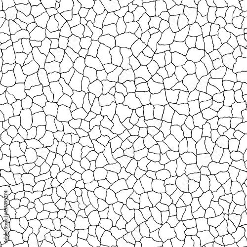  Seamless pattern. cracks texture white and black. Vector background. For design and decorate path, wall, backdrop. 