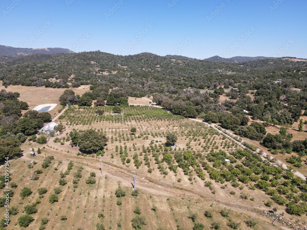Aerial view of apple tree land in Julian, town famous for its apples and apple pie. San Diego, California, USA