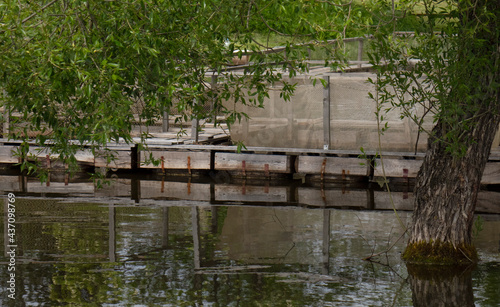 Fishing farm for carp breeding.