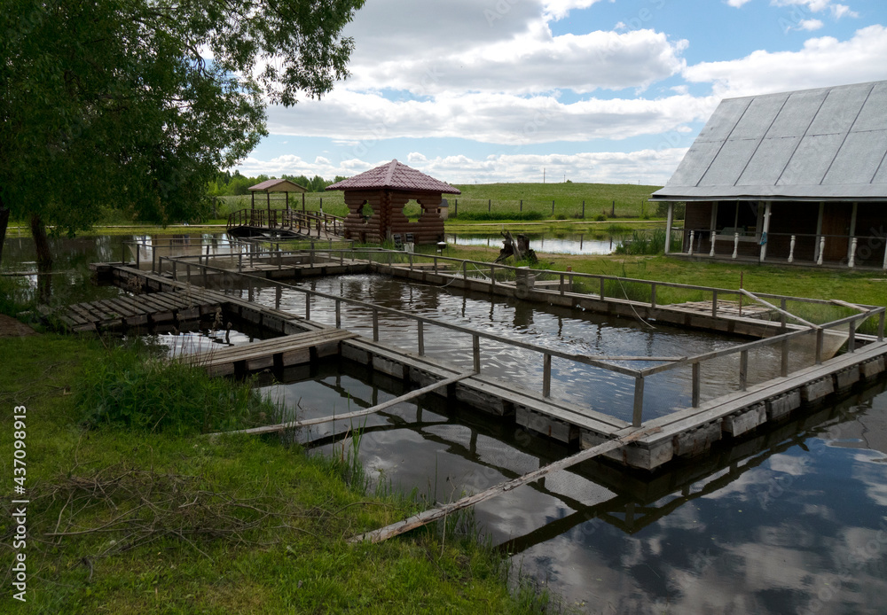 Fototapeta premium Fishing farm for carp breeding.