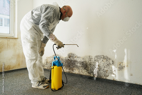 Specialist in the elimination of severe mold in an apartment photo