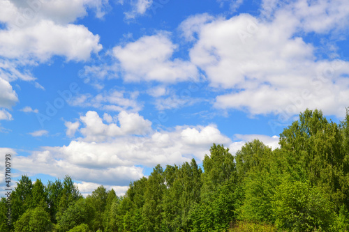 Blue sky with clouds above the trees