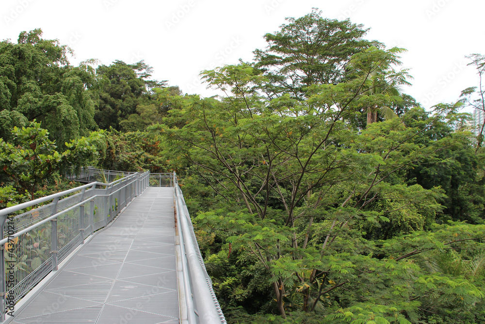 footbridge in a public park (telok blangah hill park) in singapore 