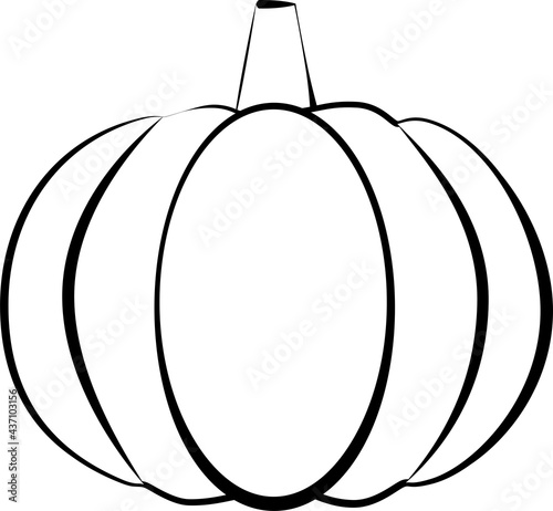 Silhouette of a pumpkin vegetable. Black and white image. Children's coloring book
