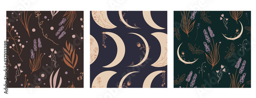 Set of three celestial crescent moon and magic herbs vector patterns 