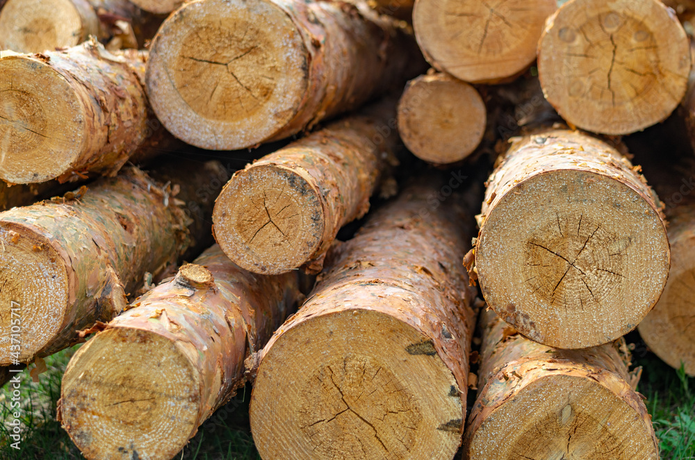 stacked firewood logs for the background, wood texture. stacked firewood logs for the background, wood texture.