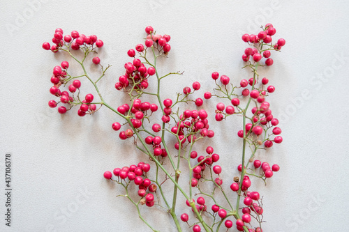 Pink peppercorn (baie rose, pink berry).