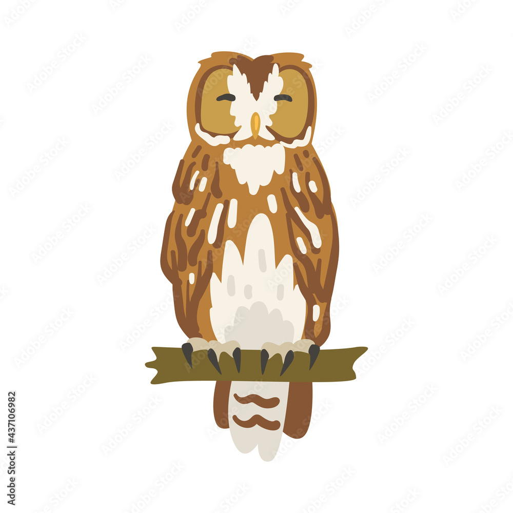 Fototapeta premium Perching Owl Bird with Broad Head and Sharp Talons Having Upright Stance Vector Illustration