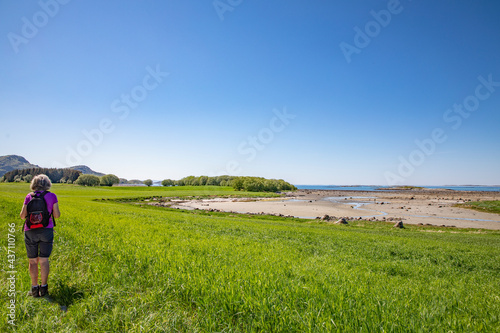 Women walk in the farmland with green meadows, Mardal ,Helgeland,Nordland county,Norway,scandinavia,Europe