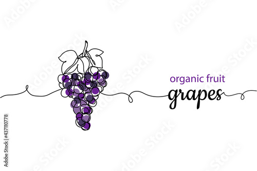 Continuous one line of bunches of grapes in silhouette. Linear stylized.Minimalist. Organic fruit grapes