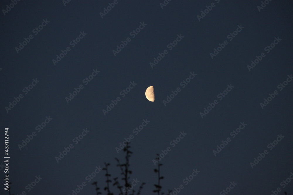 demi lune jaune demi lune jaune