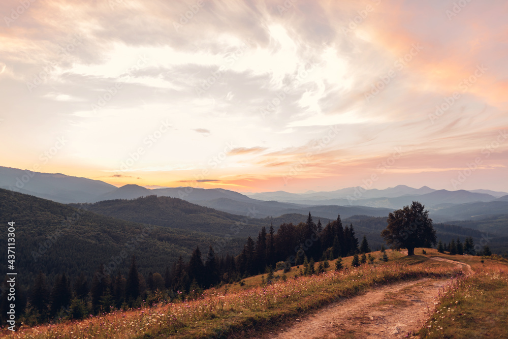 Fototapeta premium Beautiful sunset in Carpathian mountains. Summer ukrainian landscape. Dusky sky above wild nature with path