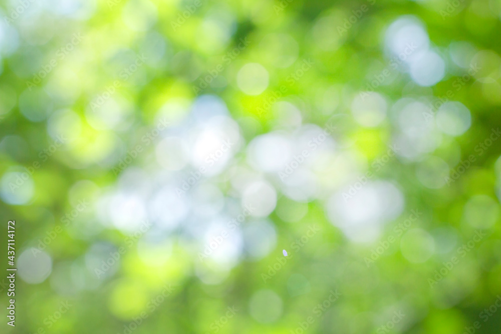 abstract blurred green background. design concepts abstract blurred green background. design concepts