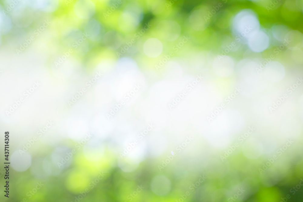 abstract blurred green background. design concepts
