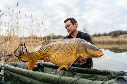 Fisherman holding a huge carp at the lake.