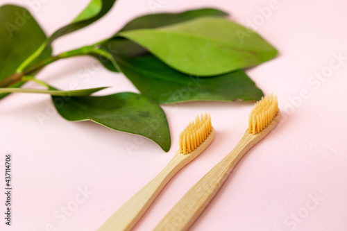 daily human hygiene  cotton swabs and cotton pads  a woman s hand holding bamboo toothbrushes on a pink background in a glass or against a background of plants  eco-friendly personal hygiene products