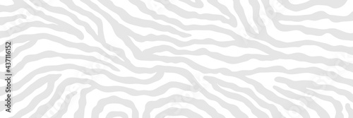 Vector abstract animalistic background. Freehand illustration of zebra skin print. Long horizontal banner.