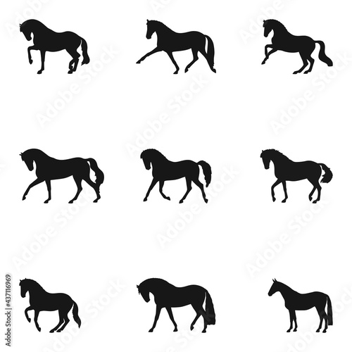 Horse silhouettes set. Different types of movement  immobility  step  trot  gallop