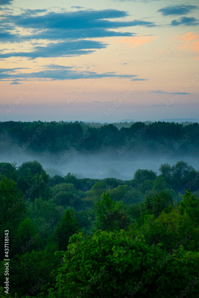 Fog spreads over the lowlands along the forest during sunset. Evening landscape