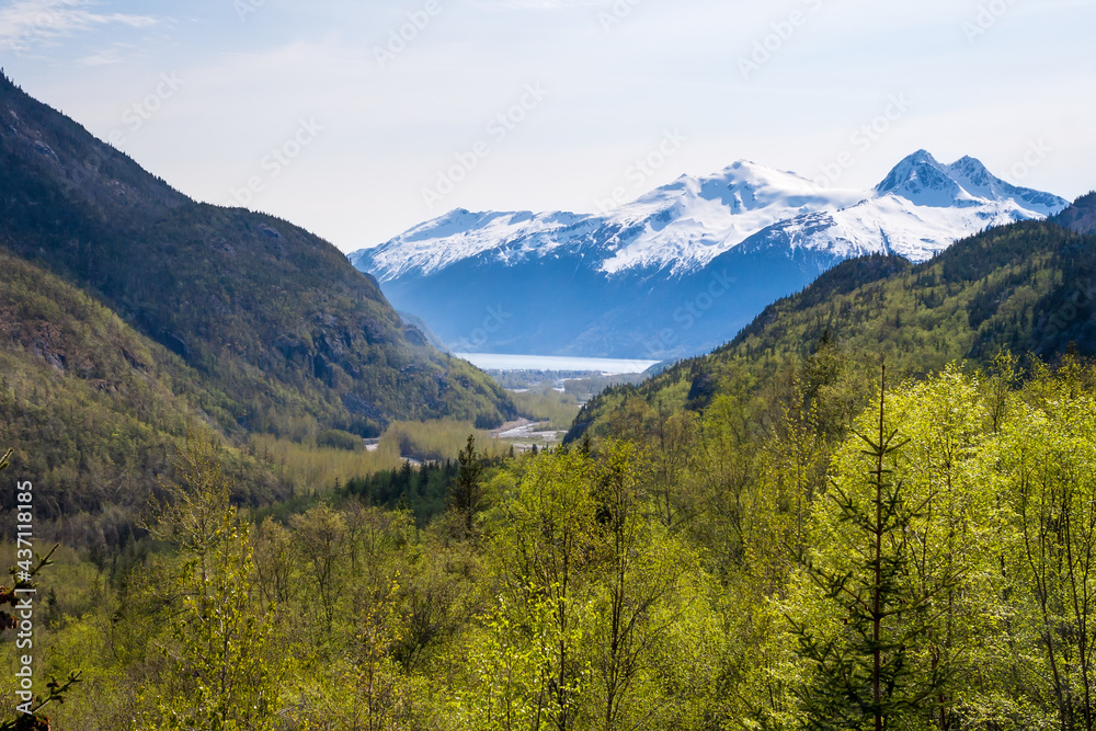 Obraz premium Scenic view of the Tongass National Forest and Port of Skagway i