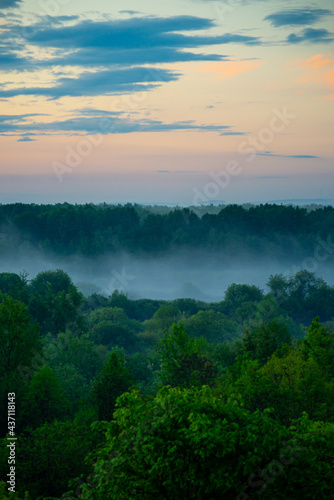 Fog spreads over the lowlands along the forest during sunset. Evening landscape