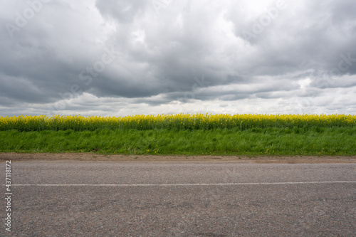rape blooms on the side of the asphalt highway, over which there are dark and dense rain clouds