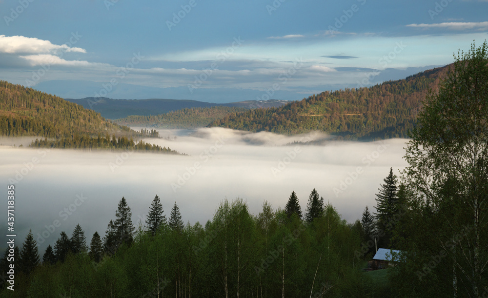 Misty Carpathian forest mountains at sunrise early morning in Ukraine