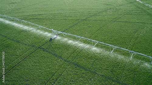 Aerial Shot Over Large Field With Sprinklers Watering Crops