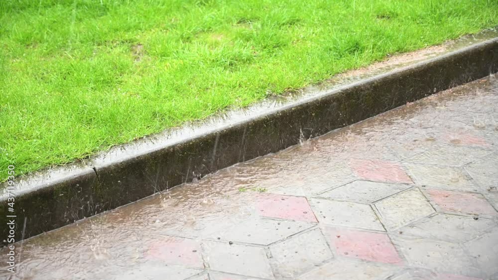 Large downpour in the yard Large downpour in the yard