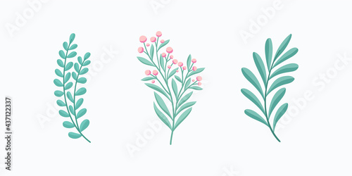 Set of vector floral elements. Hand drawn leaves isolated. Botanical illustration for decoration  print design.