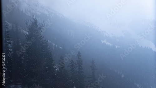 Mountains forest with dark mood without sun with evening fog. Bad mood creepy mysterious forest in the mountains. 