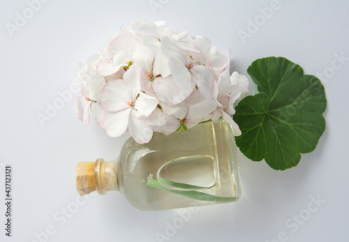 delicate flower Pelargonium  garden geranium or zonal geranium Flowers and bottle of cosmetic oil  background  