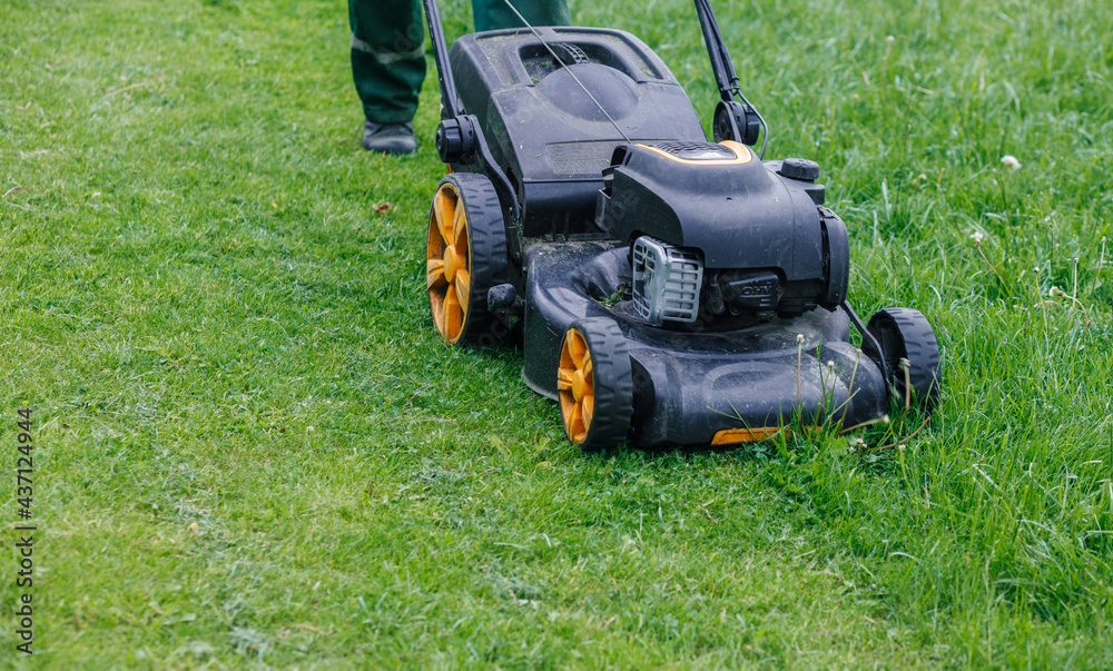 Obraz premium Lawn mower on green grass in the garden. Gozon guard for gardeners