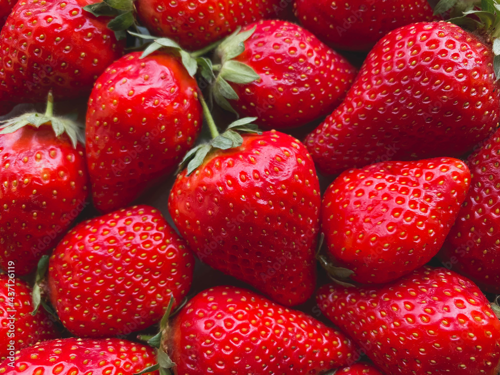 Close-up of a large number of strawberries. Natural background. Close-up of a large number of strawberries. Natural background.