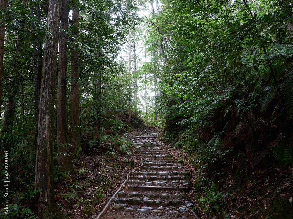 Obraz premium 熊野古道