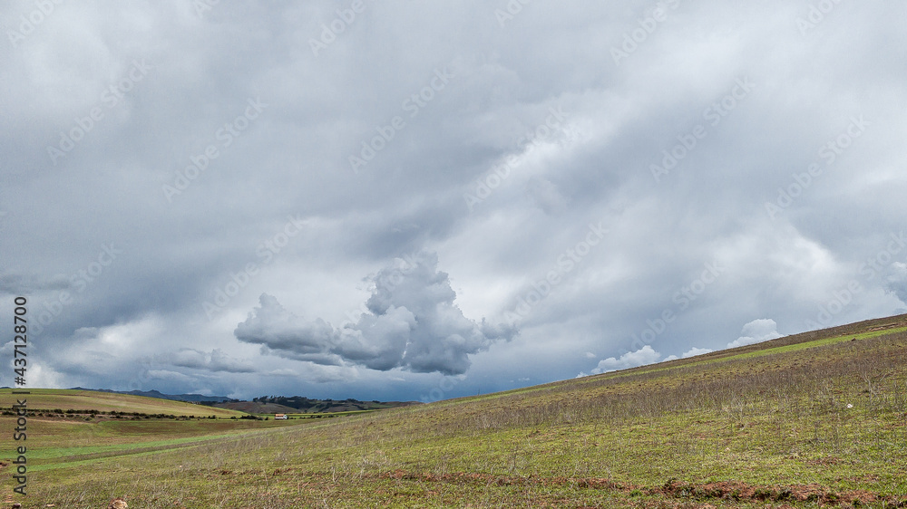 cloudy morning before a storm in a puna landscape
