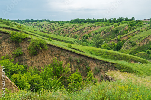 Cascade of ravines. Erosion of agricultural land