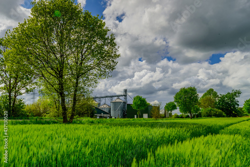 Panorama view of countryside in North Germany with biogas plant. Cornfield with agricultural factory in the background in the countryside. photo