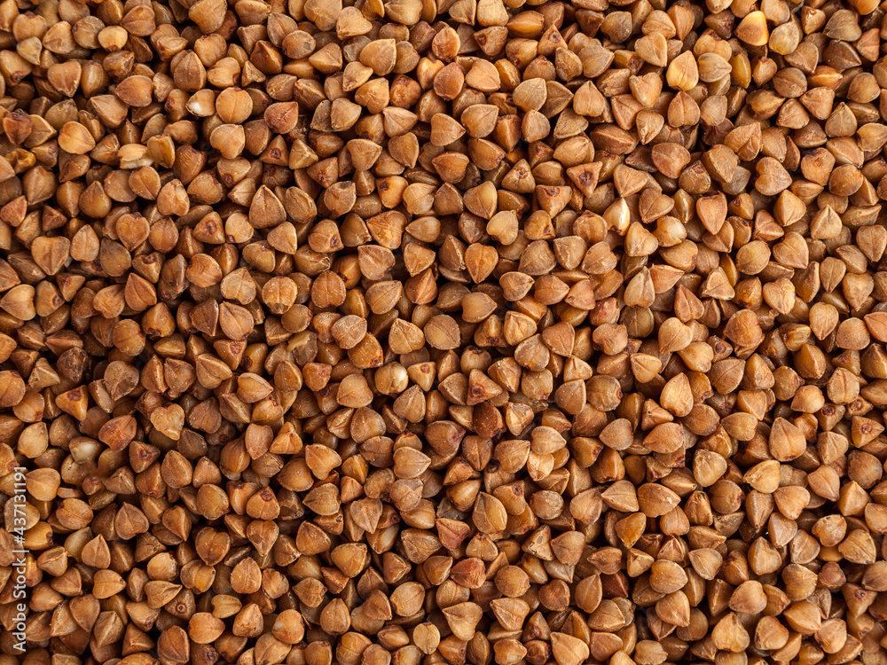 Buckwheat kernel made from whole undivided grains, used for making cereals and side dishes, fried buckwheat, which has a brown hue, solid background, close-up Buckwheat kernel made from whole undivided grains, used for making cereals and side dishes, fried buckwheat, which has a brown hue, solid background, close-up