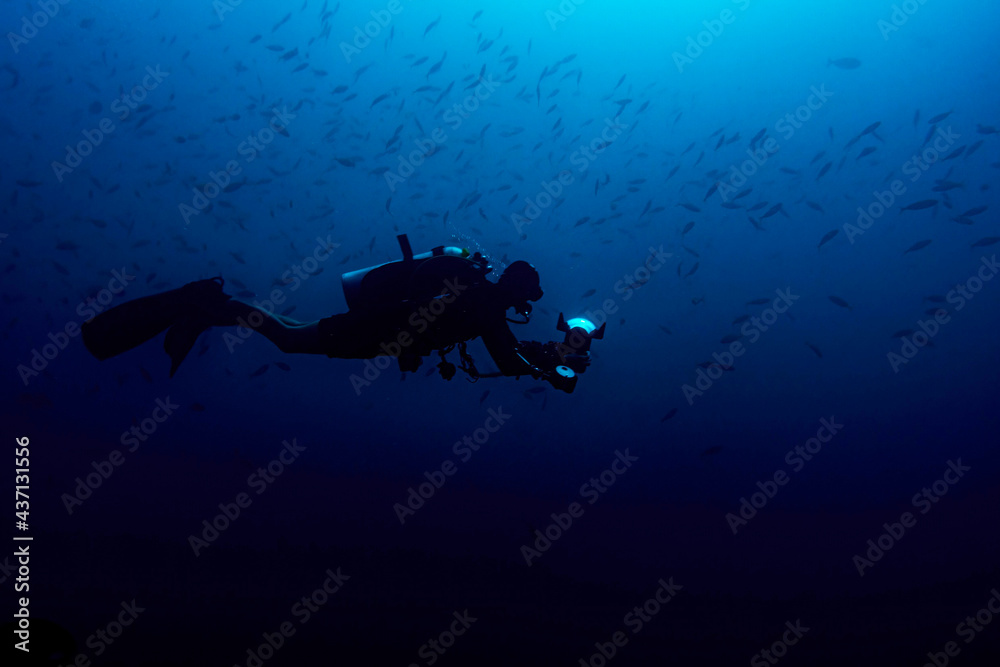 Underwater photographer silhouette diving in blue water background Underwater photographer silhouette diving in blue water background