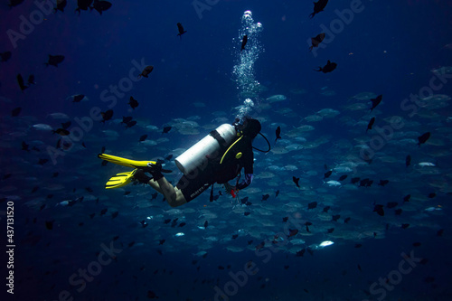 Female diver in fish school diving in blue water background