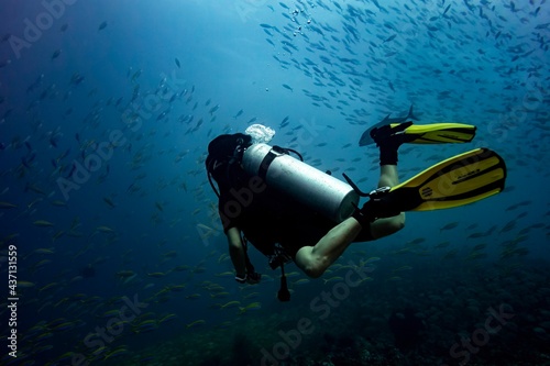 Female diver in fish school diving in blue water background