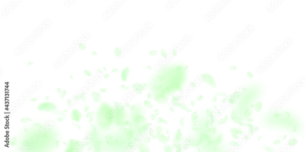 Green flower petals falling down. Authentic romant Green flower petals falling down. Authentic romant