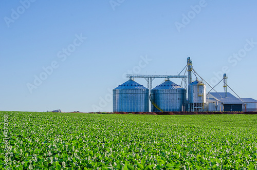 grain storage silos photo