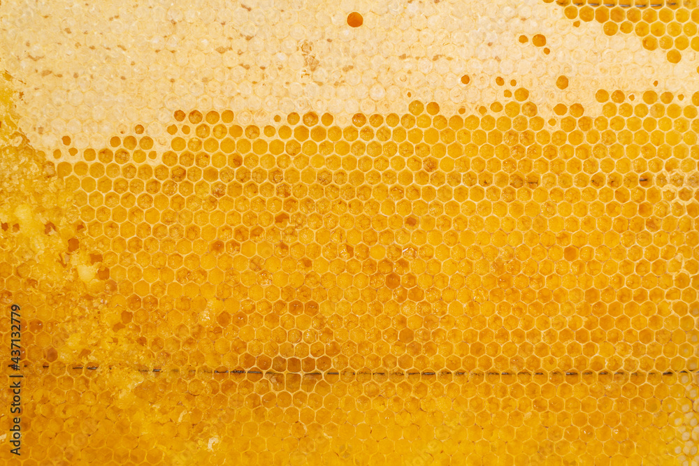Honey comb close-up. Yellow half-empty honeycomb. Honey comb close-up. Yellow half-empty honeycomb.