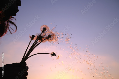 The girl blows the fluff off a dandelion. Travel outside the city alone.