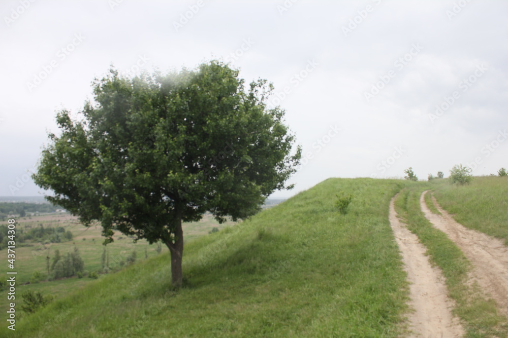 Obraz premium gladiator road