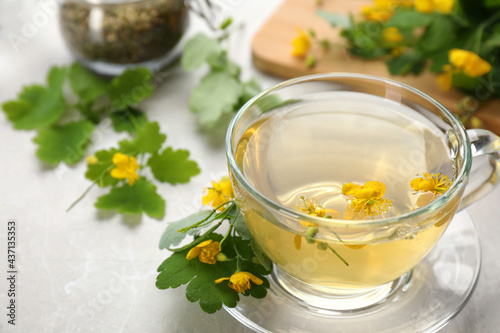 Glass cup of aromatic celandine tea and flowers on grey table, closeup. Space for text